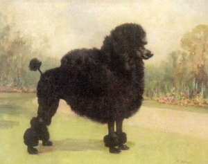 Poodle in 1800 years